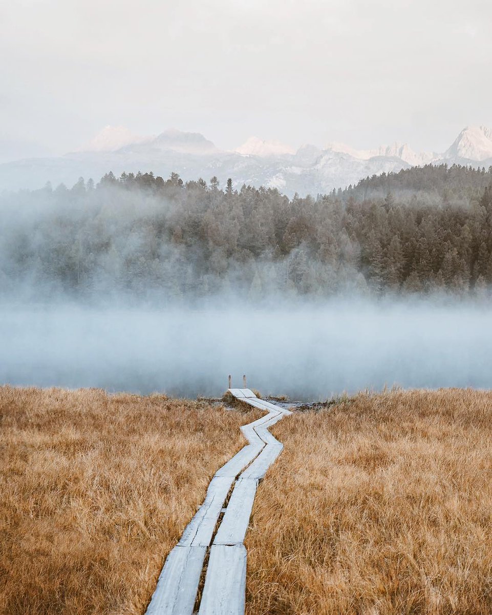 St. Moritz tweet media