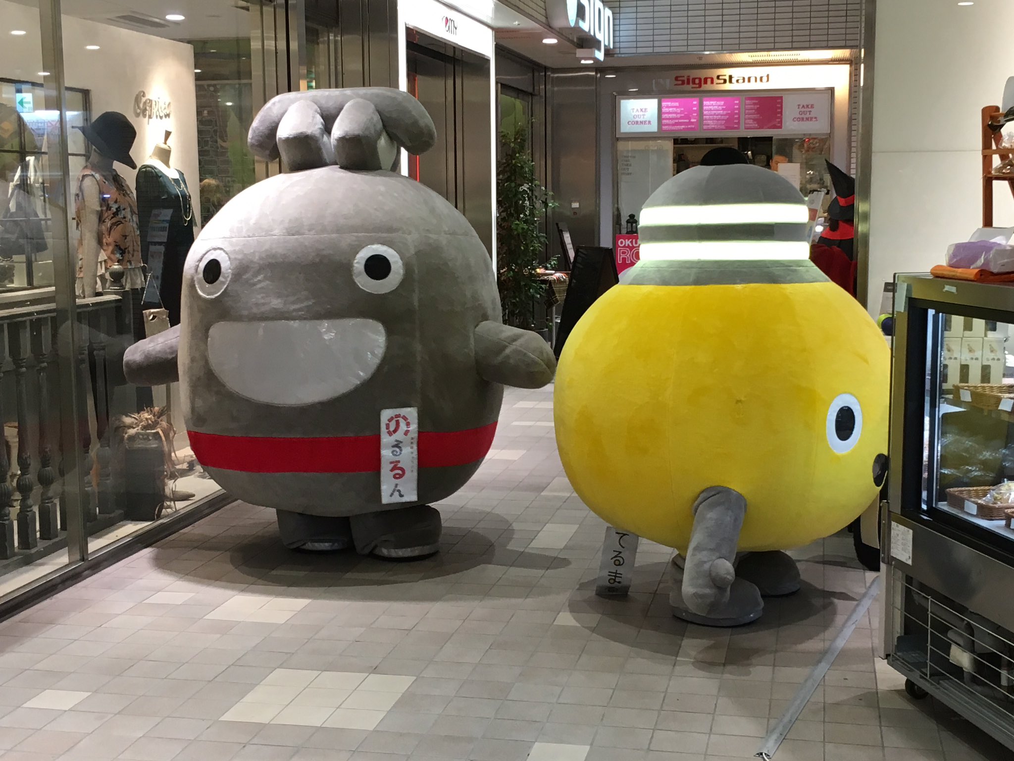 いし 名誉 長 場所移ってた 明後日の方向向いてたらスタッフさんに前向くように誘導されたてるまると どこみてるかわからないのるるん T Co Qwcvt9hfwi Twitter いし 名誉 長 場所移ってた 明後日の方向向いてたらスタッフさんに前向くように誘導されたてるまると どこみてるかわからないのるるん T Co Qwcvt9hfwi Twitter