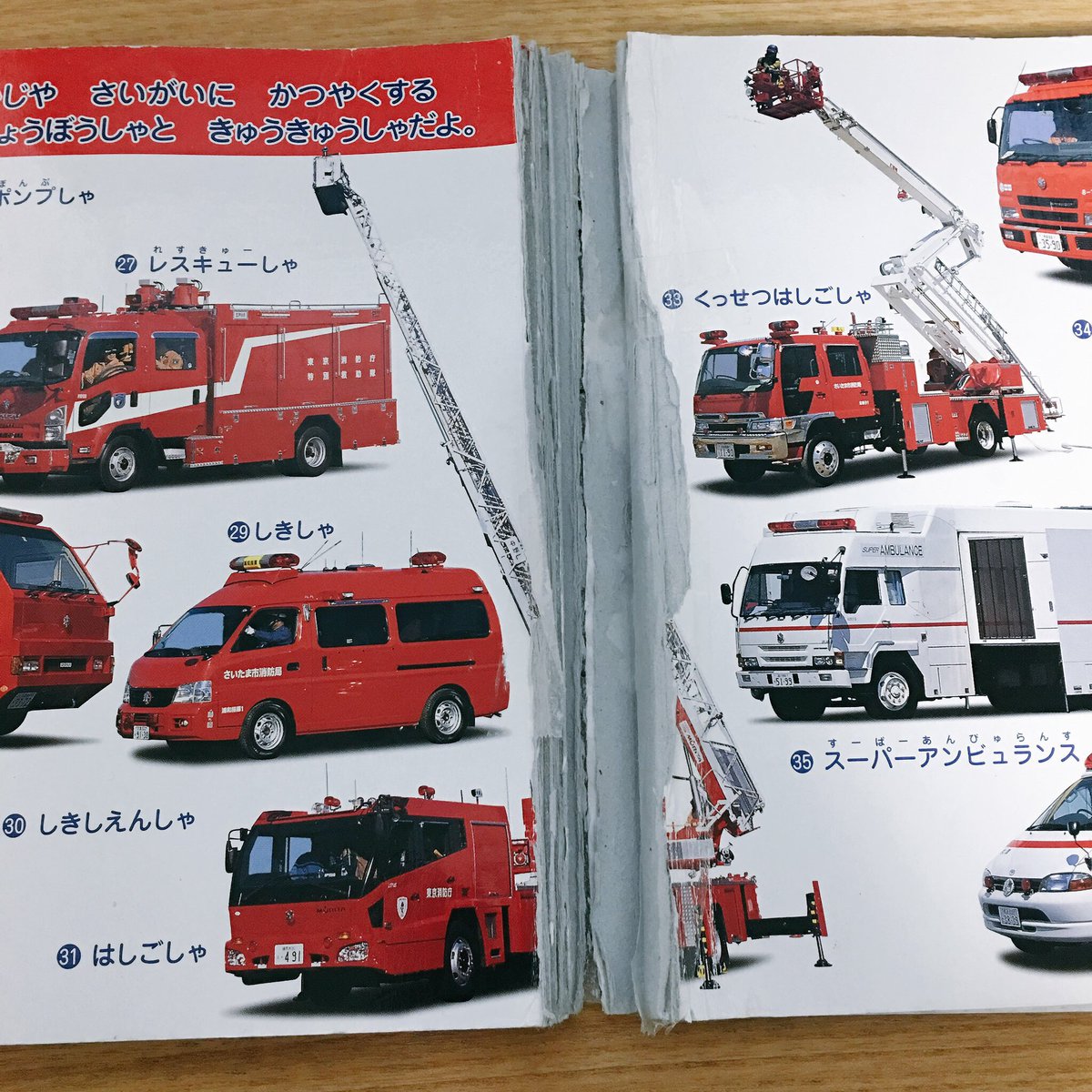 𝓈𝒶ℯ𝓇ℯ𝒶𝓁 はじめて開いた時は 消防車だけで何種類あるんだよ 赤いウーウーはみんな消防車 だろ と思ったけど みんなそれぞれ役割も名前も違う消防車 消防車っていうのは ブーブー の下位概念だけどそれでも広い概念なのだ トミカ沼はさらに