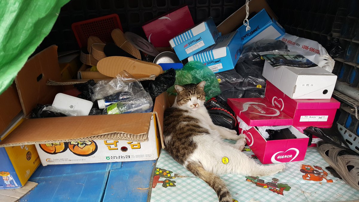 cryptsetup's tweet image. Item 265