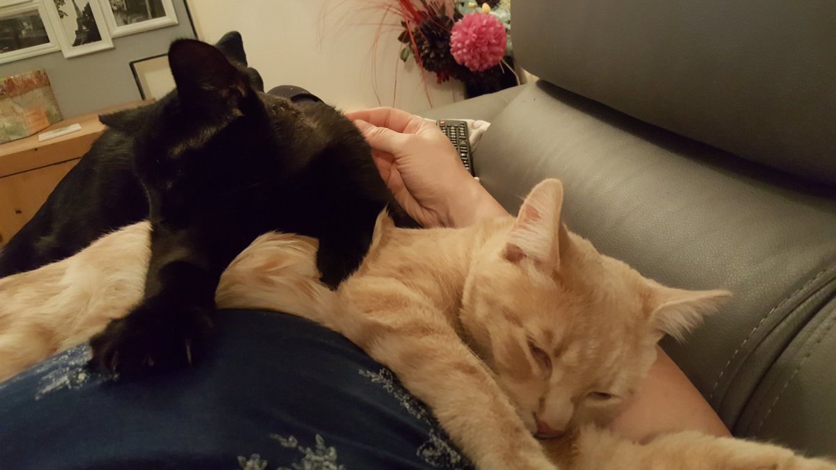 A pile of my beautiful babies and growing baby bump - life is gorgeous these days :)