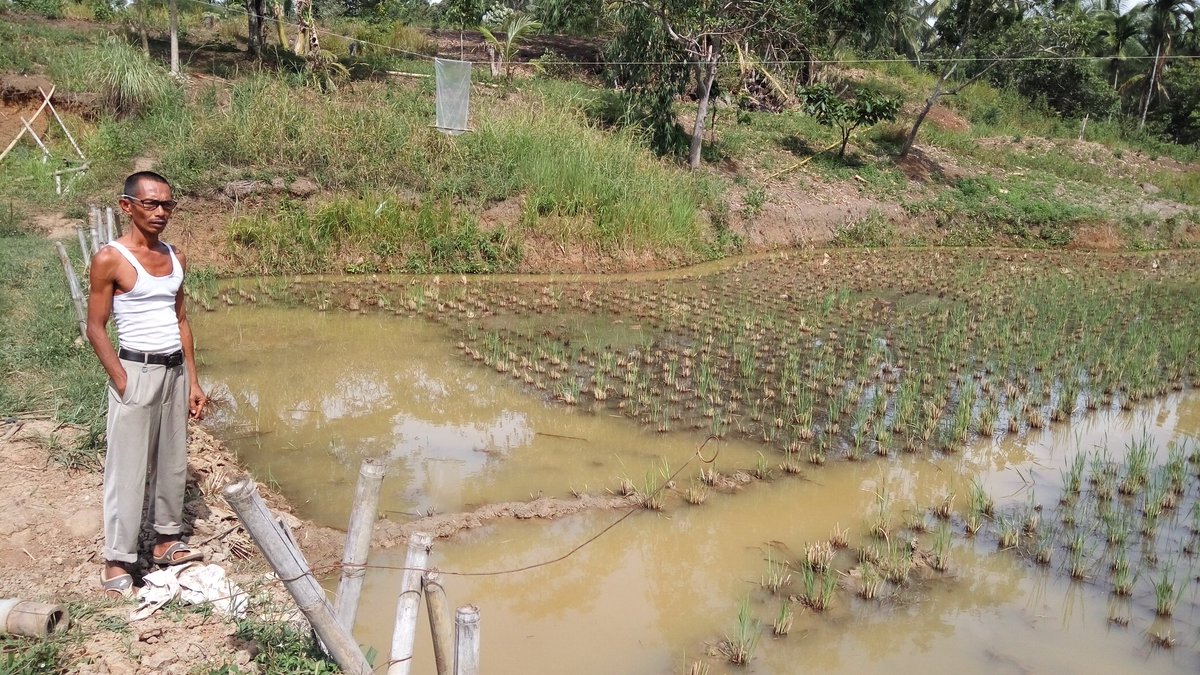Karsunanda03's tweet photo. @pusluhdayakp @BudidayaKKP @kkpgoid pembinaan teknis pendederan ikan mas,Pokdakan Maju Bersama. Kota Solo Sumbar https://t.co/7Fnnd2vgpj