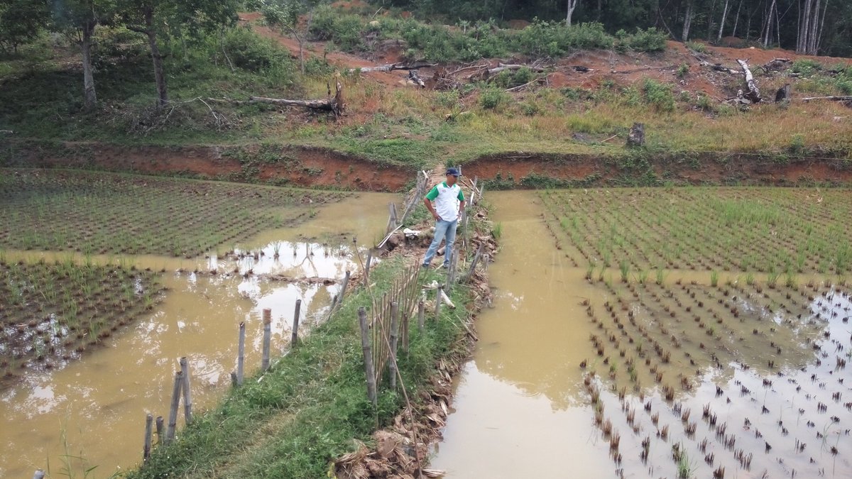 Karsunanda03's tweet photo. @pusluhdayakp @BudidayaKKP @kkpgoid pembinaan teknis pendederan ikan mas,Pokdakan Maju Bersama. Kota Solo Sumbar https://t.co/7Fnnd2vgpj