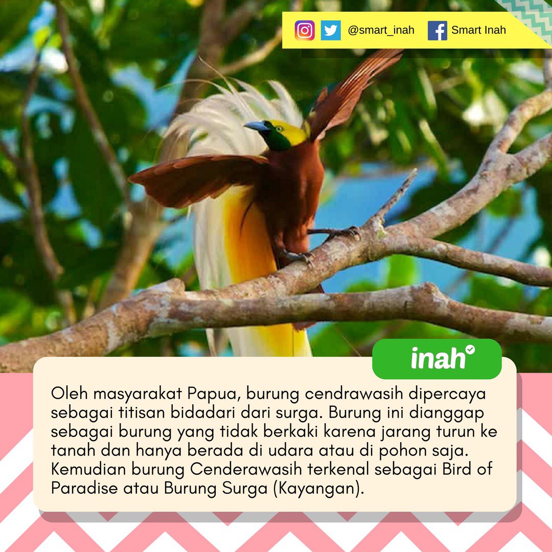 Smarturday Hashtag On Twitter