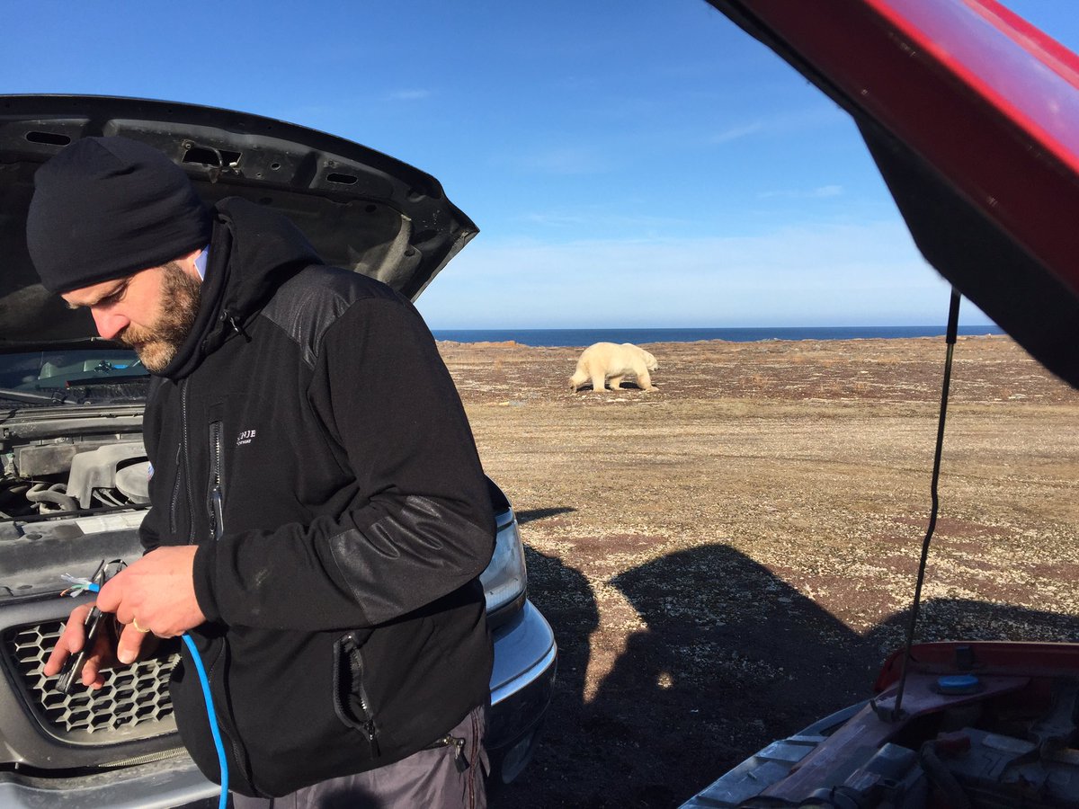 Not a great place to have a flat battery...in the Canadian tundra with polar bears close by #makingjumpleads #ArcticLive