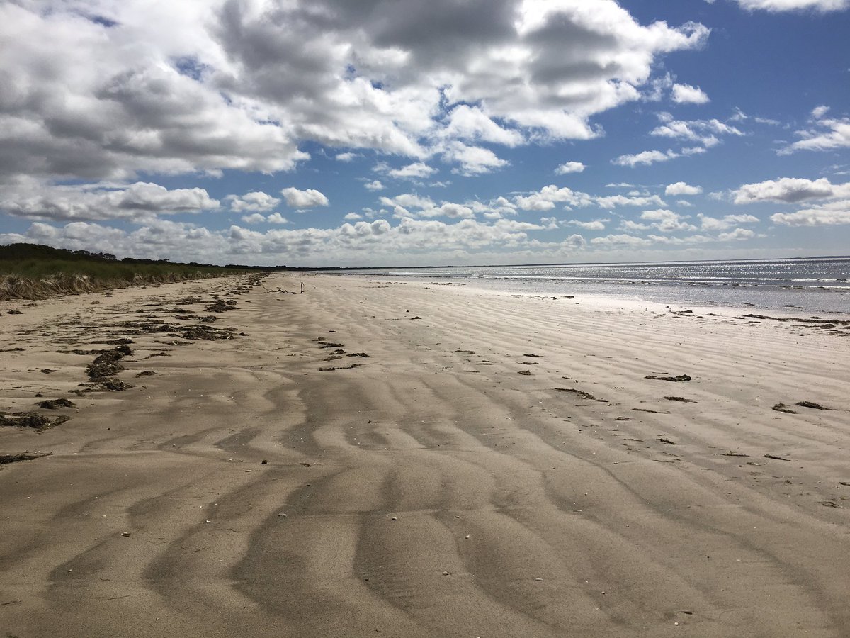 JoanneBraggAus's tweet photo. #beachwalk #circularhead #sevenmilebeach @tasmania https://t.co/c2mgYnjld3