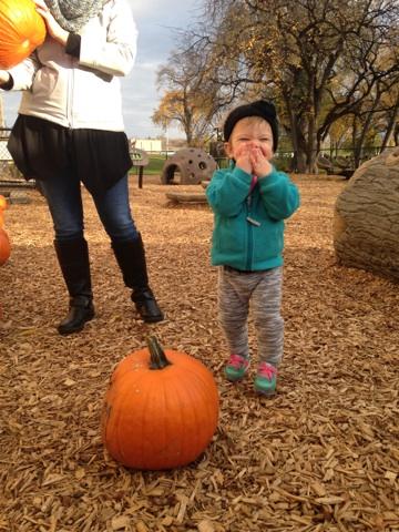 kcjanesanders's tweet photo. Pumpkins and playgrounds! Thanks @ymcacassclay https://t.co/RVUou660UK