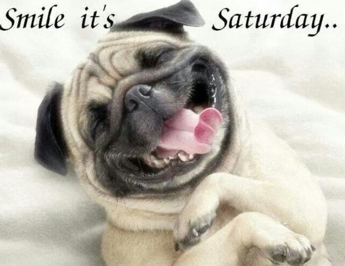RaHCamberley's tweet photo. Wishing all our our CareGivers a great weekend! https://t.co/mSQqnYHoKS