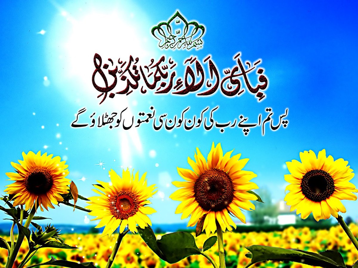 Ilaahi14's tweet photo. Asalam o Alaikum, #GoodMorning https://t.co/uZQIHYd1OZ