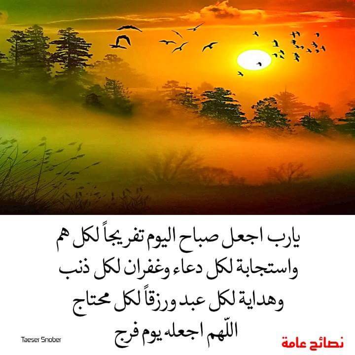 انهار الجنان (@anharaljenan) on Twitter photo 