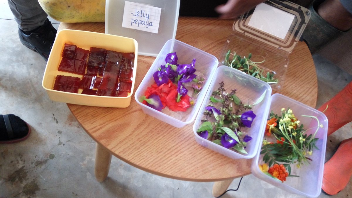 nah ini ada kembang hasil dari Farm4Life yang ternyata bisa dimakan lho :D
#vidafest #vidabekasi