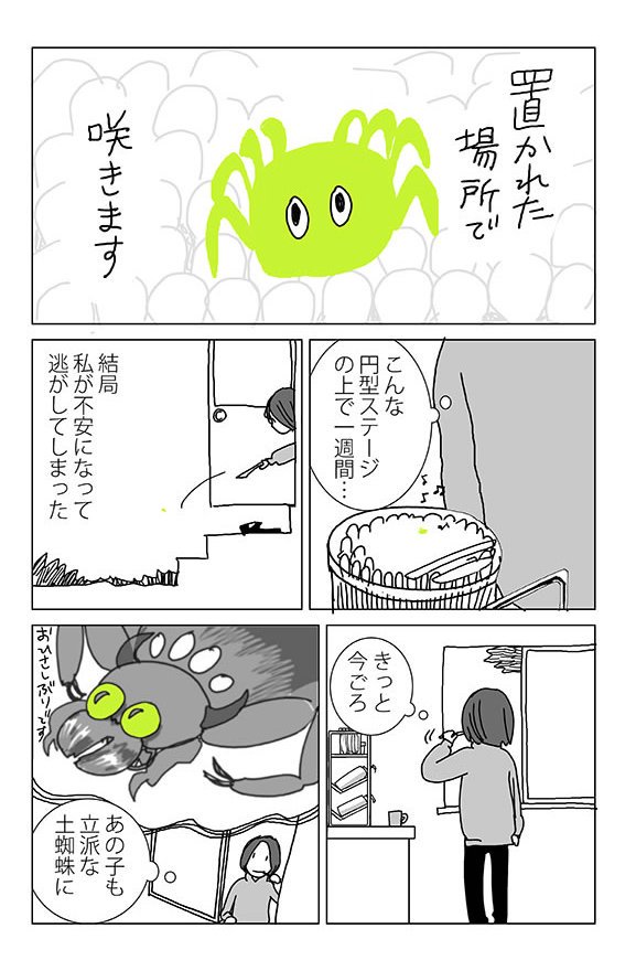 ちいさい話(クモ注意)
#漫画 