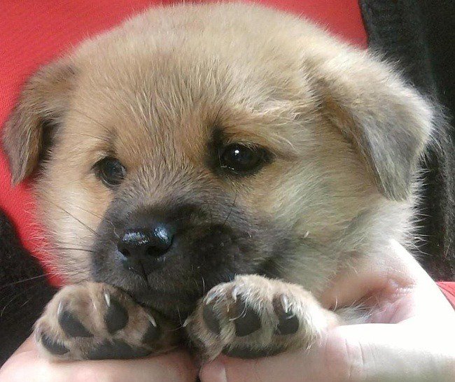 viktorinini's tweet photo. 💐😇💐@NataliyaVF 💐😇💐
Спасибо, НАТАЛИА,за доброту ко мне, за доброту в твоих твитах!
Добра Тебе и Счастья,Верности!
👉😘👈 🌺 👉😘👈 🌺 👉😘👈 https://t.co/qRbHPrpYHd