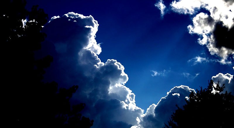 EnvironmentBlog tweet picture