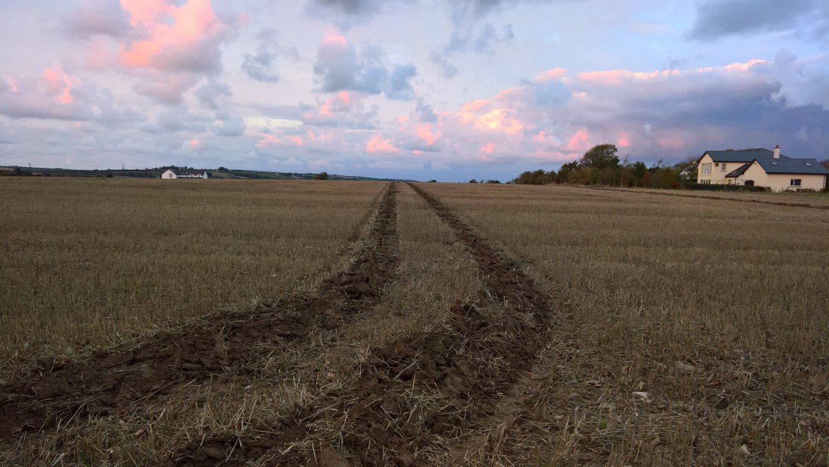 John_Dunne_'s tweet photo. Subsoiling wheelings early this morning at the Goldcrop trials site. Great shatter for October. #attentiontodetail https://t.co/GoyJE0cDtM
