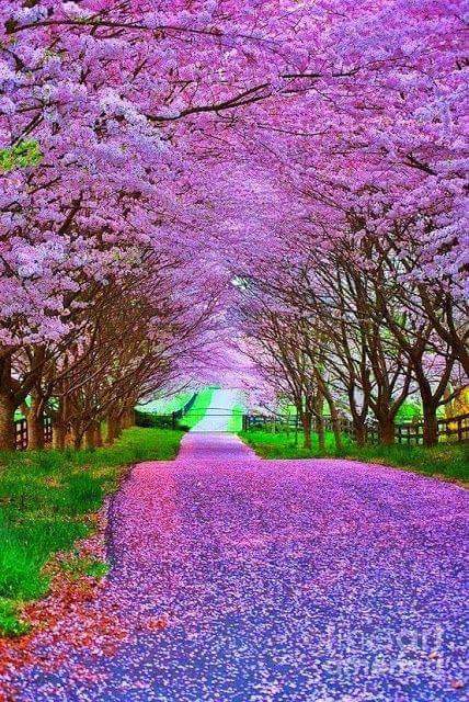 Mostafa1983Ms tweet picture