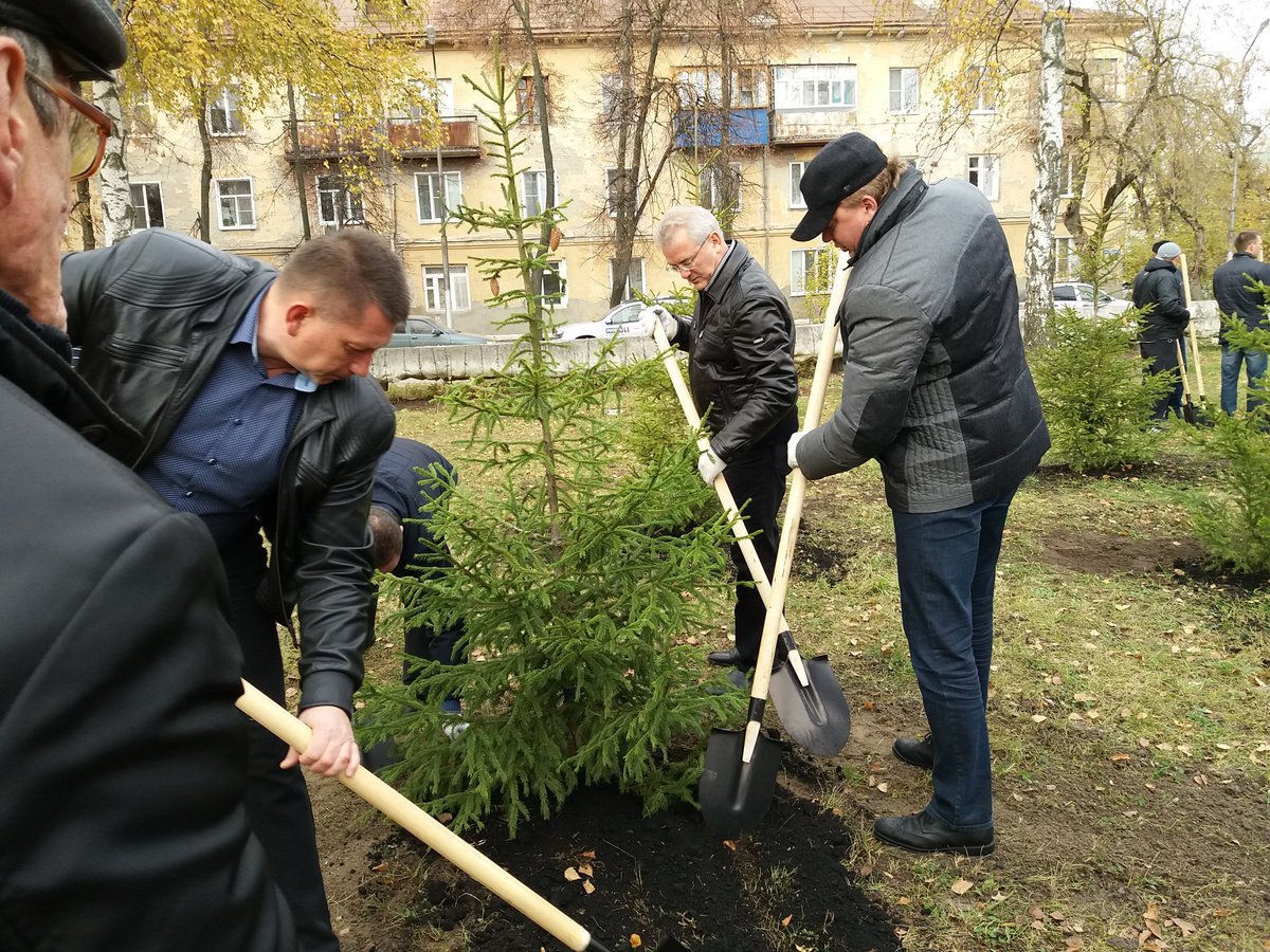 Высадили лес в хакасии. На посадке деревьев работали 2 бригады. Субботник по высадке деревьев. Высаженные деревья. Высадка зеленых насаждений.