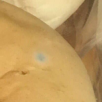 guneetbanwait's tweet photo. Was just about to buy these from  @coopuk @coopukfood 😷😷😷😷 #mouldy #breadRolls https://t.co/etYuOihtgu