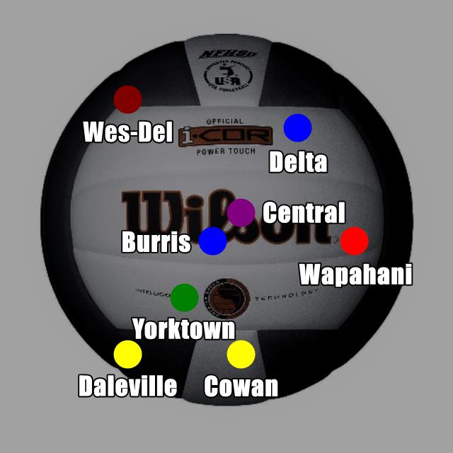Six Delaware County teams are still in the hunt for sectional titles. Go for it, girls! Just remember, floor burns heal--regrets don't. ;)