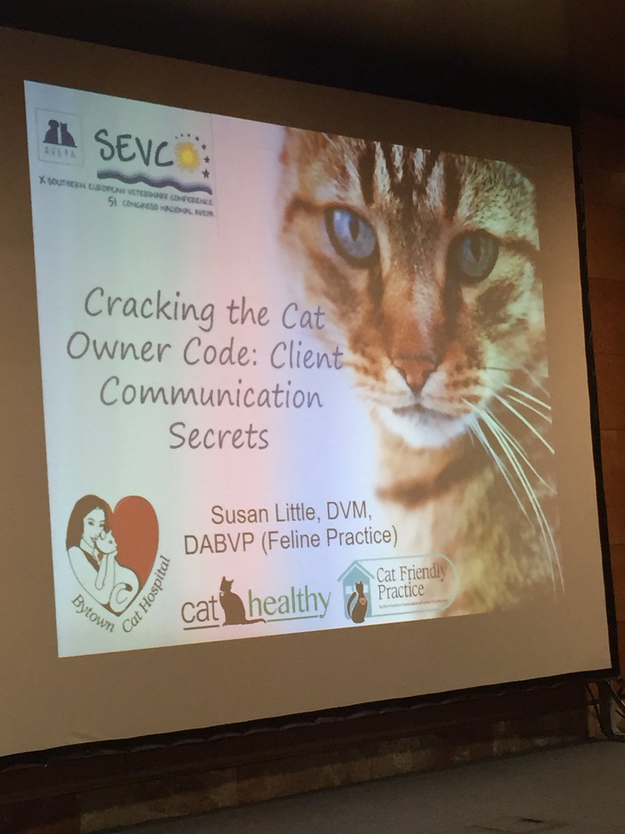 OnswitchLtd's tweet photo. #SEVC2016
Off we go again @catvetsusan
Great sessions on cat owners & communication
Happy to chair these sessions :):) #cats #cattitude https://t.co/vNwDv9aUBe