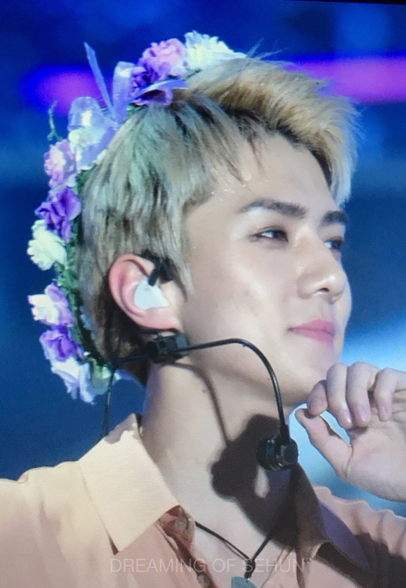 sehunspics's tweet photo. He is so pretty https://t.co/74r8p5sEJ4