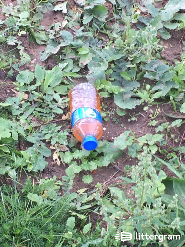ebabystuff's tweet image. Sugar beet drivers dump this 1/2 mile from cantley factory&amp;amp;50m from children's park  #Litter @BroadlandDC @littergram
