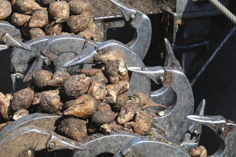 AgweekTV Full Show: Sugar beet harvest, herbicide reassurance and ag politics farmandranchupdates.com/2016/10/22/agw…