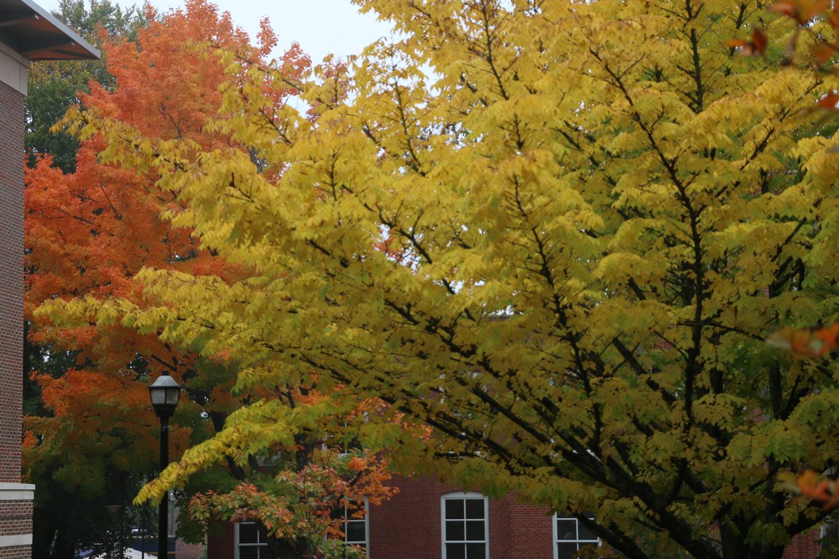 UNHExtension's tweet photo. A damp morning on the #UNH campus. #UNHfall https://t.co/duYlCGSd4g