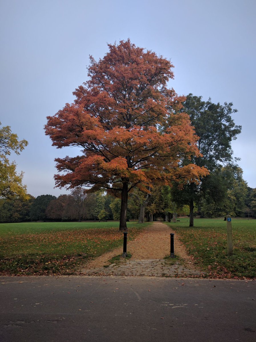#autumn in bath,, a joy to walk to work