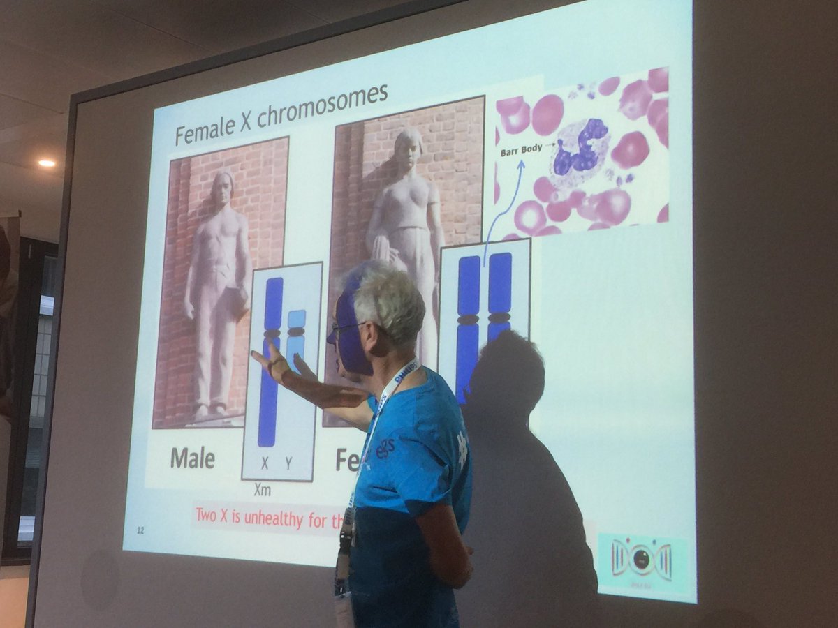 #innovatehc Males are the pathogenic form of females says #geneticist Keith Baker <a href="/Innovate_HC/">innovate.healthcare</a> in <a href="/hamburg_de/">hamburg.de</a>