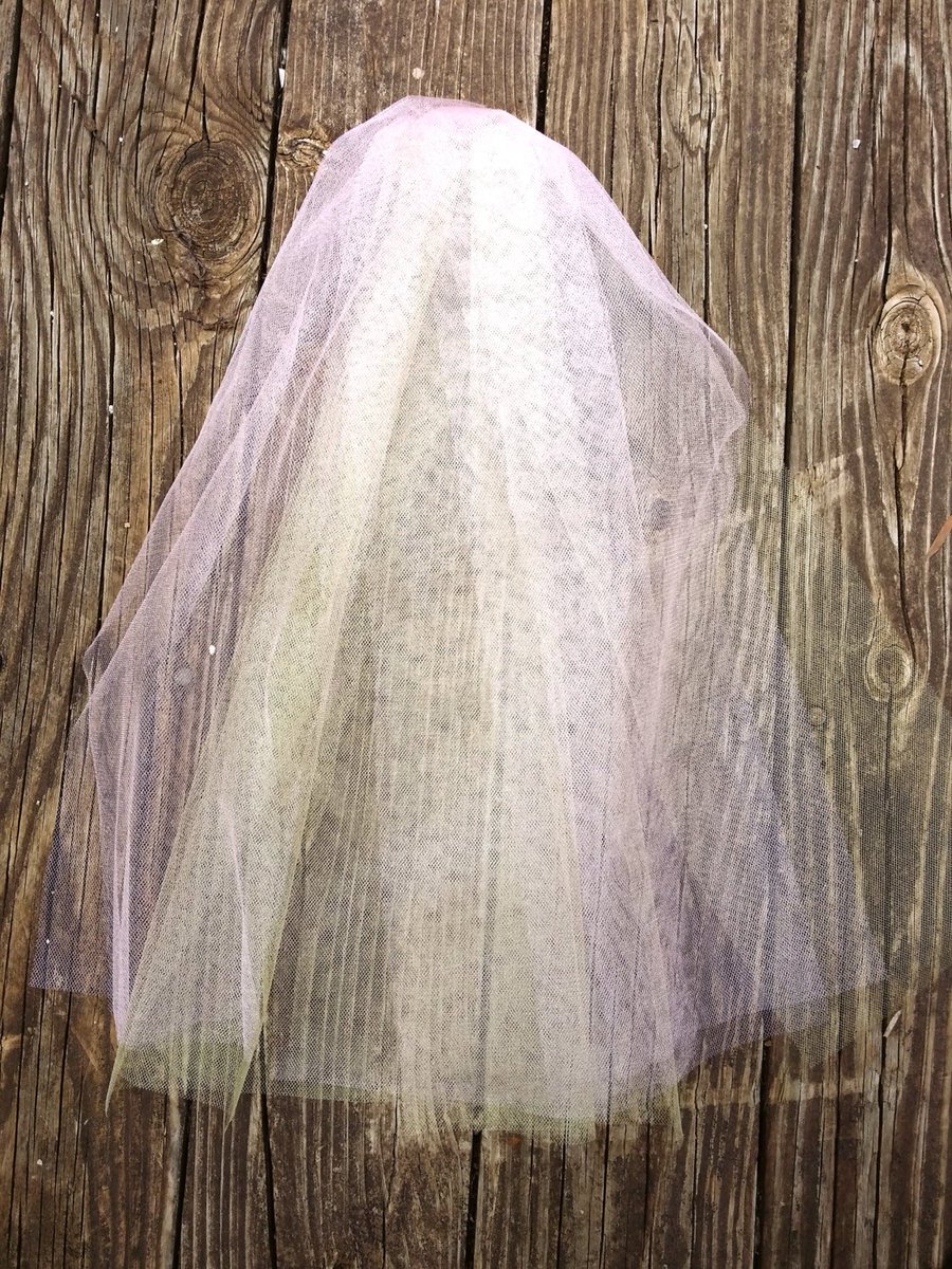 AutumnAnemone's tweet photo. Bachelorette Party Veil - 12 Colors https://t.co/6P3sNL9S3V #wedding #Etsy #BacheloretteVeil https://t.co/0h8Siim5Tq