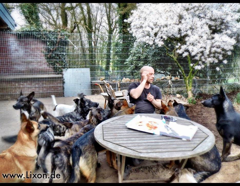 die genialen Lern-DVDs von Hundetrainr LixonK9 auf DVD-Hund.com ( Shop + Amazon ) für geniale Erfolge an der Leine