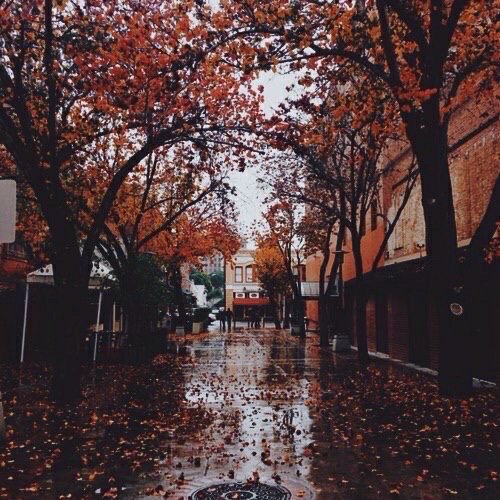 btssaesthetics's tweet photo. Hoseok aesthetic ♠ Fall In Love ♠ Apple/Ebony
Photo by : @HopeSmiling0218 https://t.co/eTMv4ycBC9