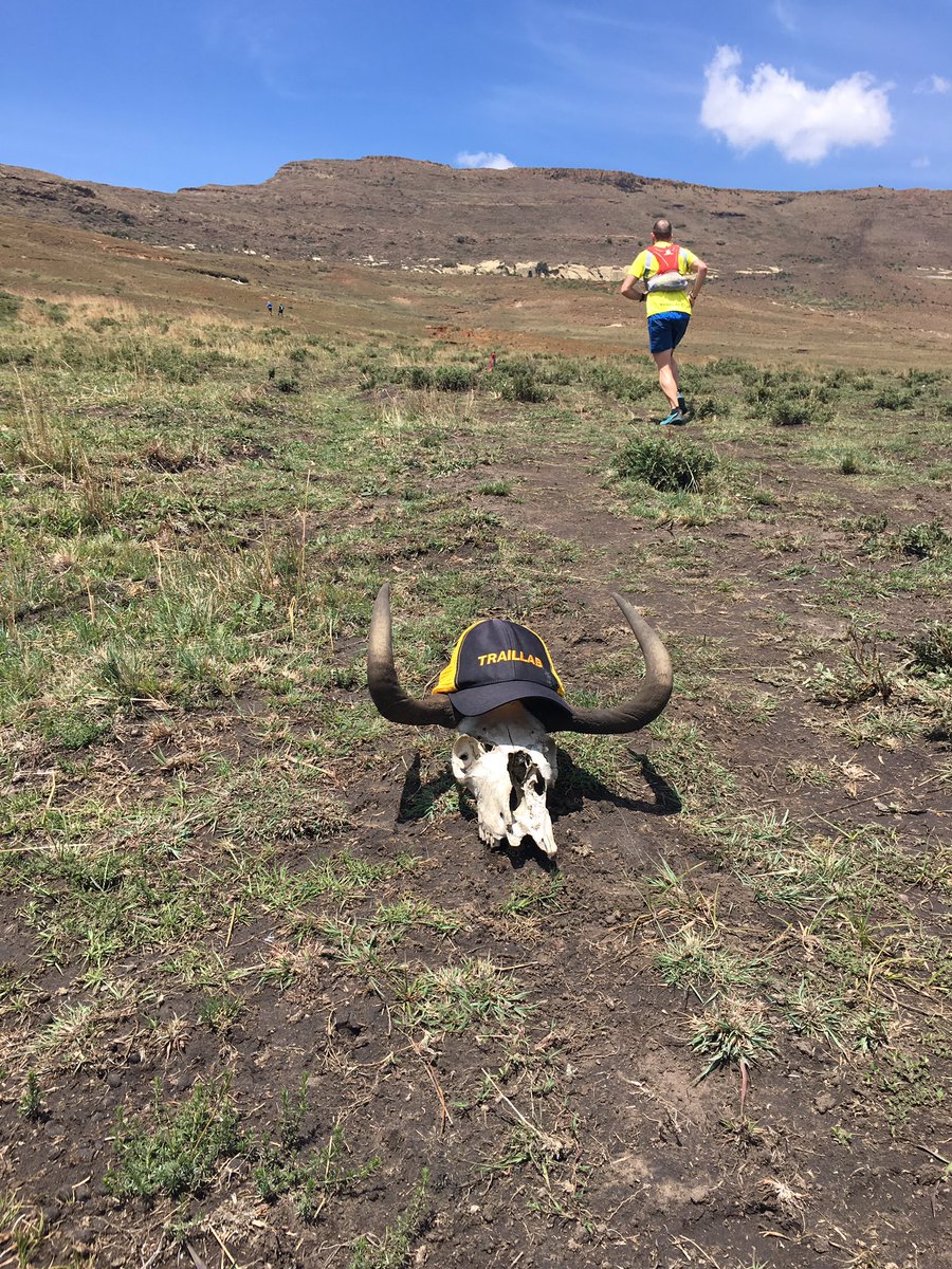 Share_a_pair's tweet photo. @KZNTRAILRUNNING #goldenmoment #GoldenGate @Traillab Remains of the day! Eat my dust Gnu! https://t.co/yD34IfmN3y