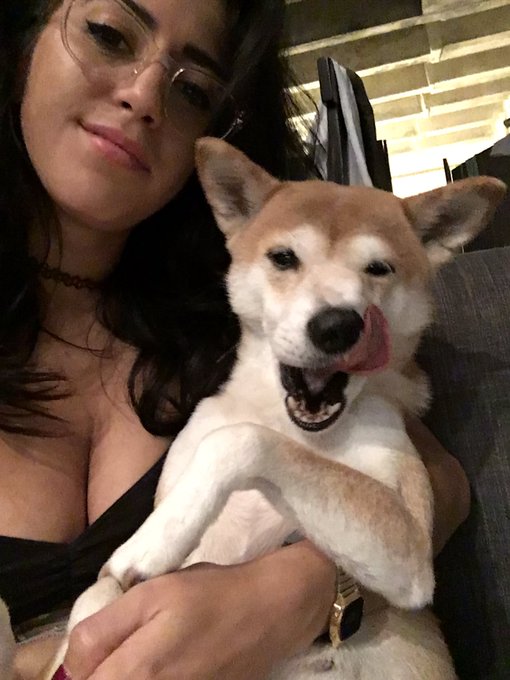 dgaf https://t.co/4kwyNiya8q