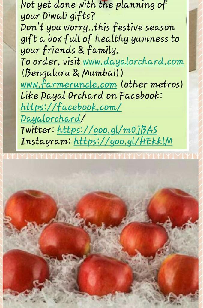 Dayalorchard's tweet photo. #Delhi #Kolkata #Mumbai #Bengaluru #Hyderabad #Ahmedabad #Chennai #Diwali2016 #GiftIdea #FestivalofLights #healthyliving #nutrition #apples https://t.co/5eQ6wvgugC