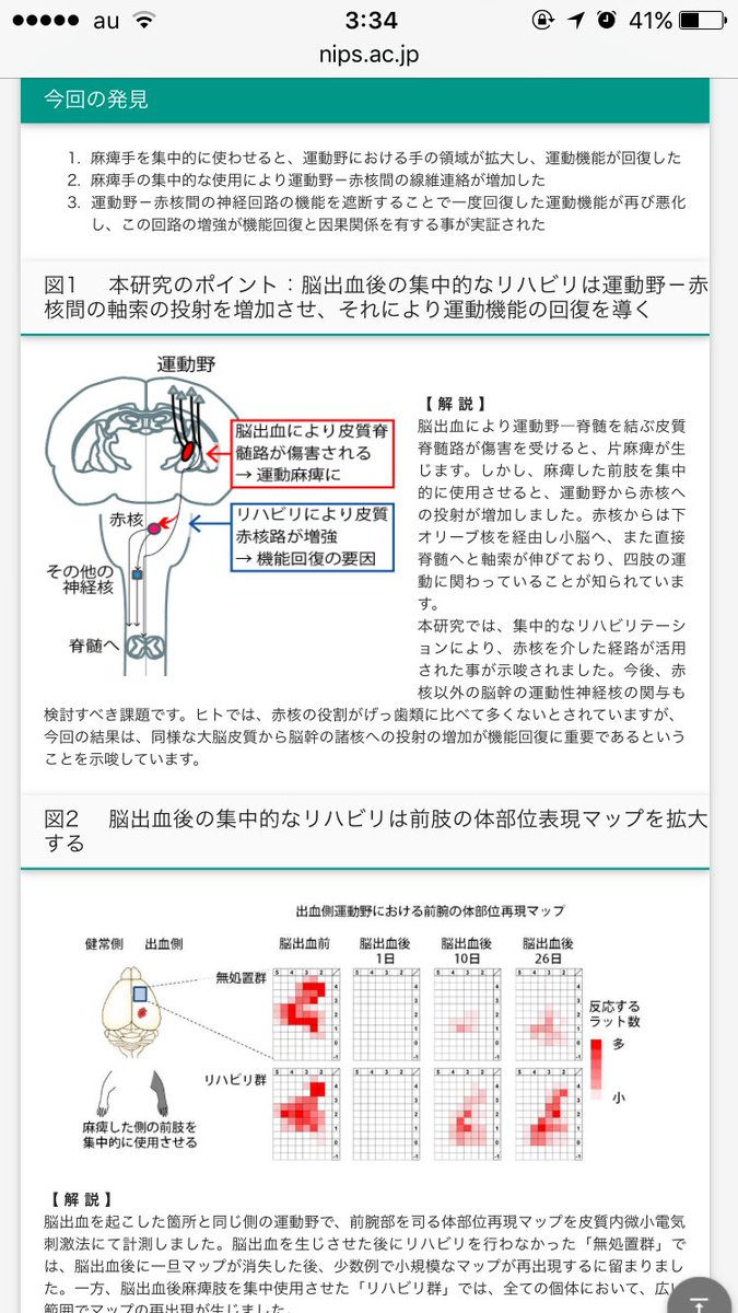 お Shirokun Kobon Twitter お Shirokun Kobon Twitter
