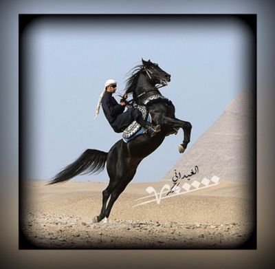 كلي بس حلا (@al20hilal20) on Twitter photo 