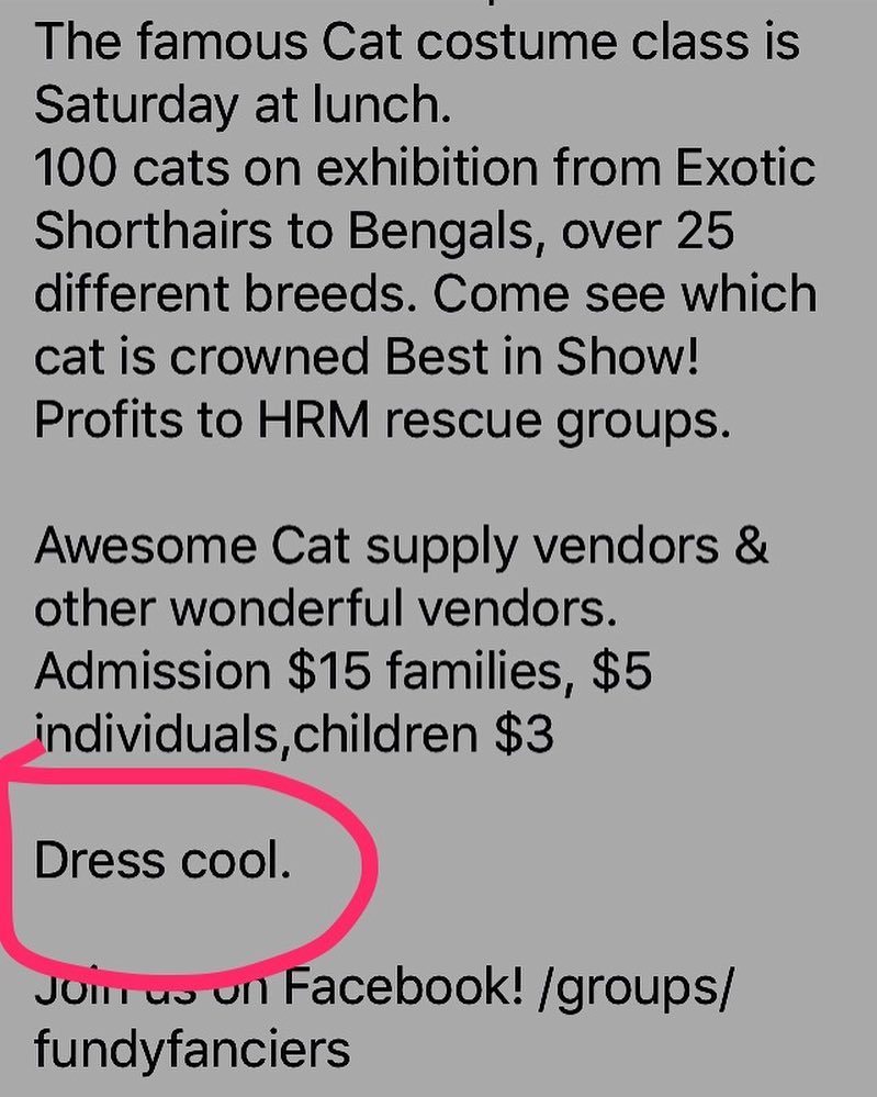 halifaxnoise's tweet photo. CAT. COSTUME. CONTEST.
TODAY. NOON. at the forum. #dresscool https://t.co/zeGUBfwXym https://t.co/SskzarwsPc