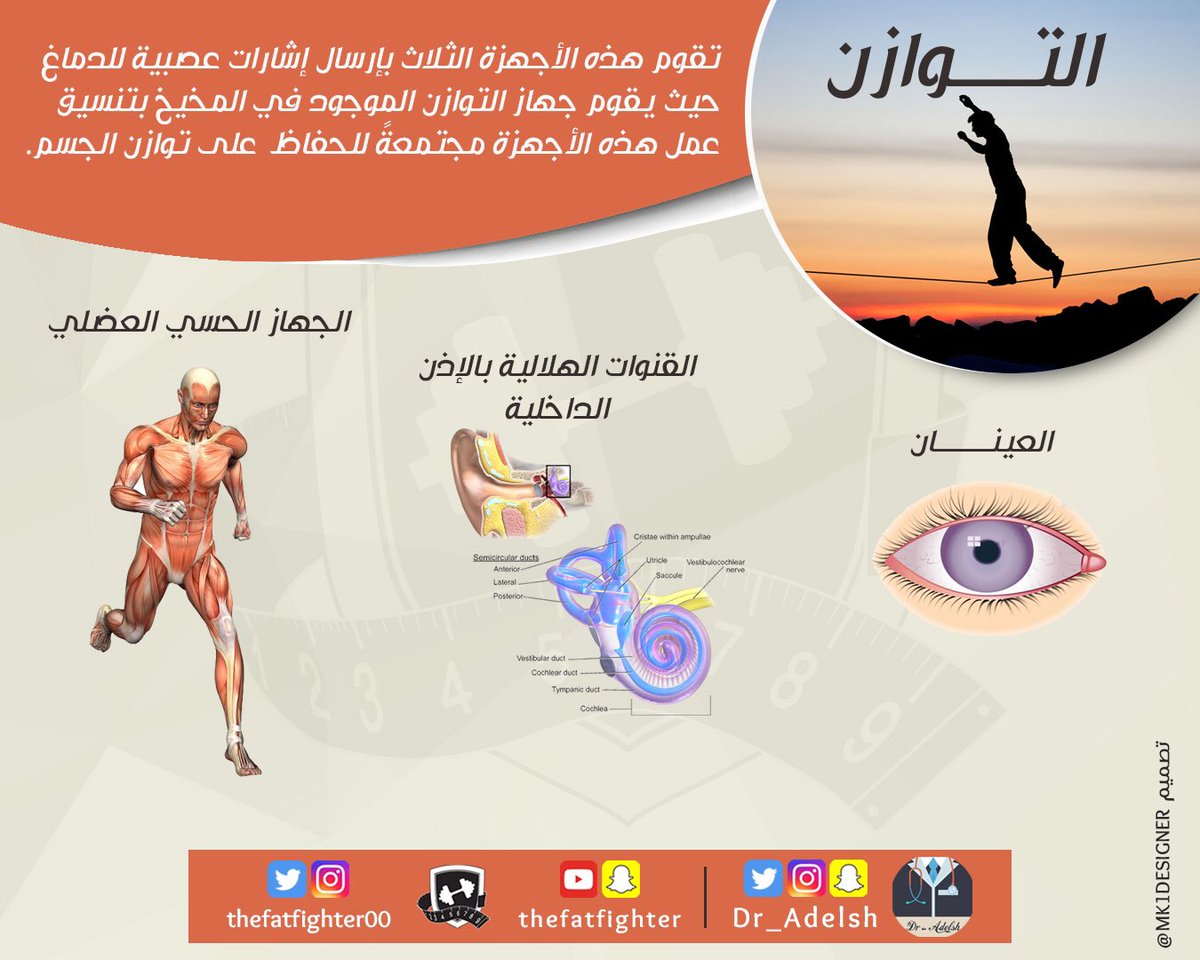 التوازن🔻هو عملية معقدة يتشارك فيها أكثر من عضو بالجسم بتزامن مثالي على مدار الساعه
سبحان الله ..