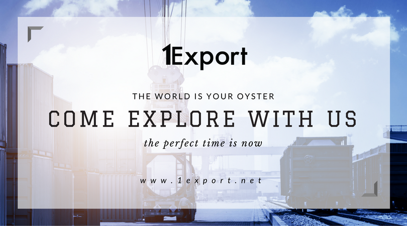 1ExportTrade's tweet photo. Come #explore with #1Export. Our #CustomizedSolutions allow you to manage #InternationalTrade while keeping #focus on everyday #business. https://t.co/N3Nb7gEhS4