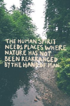 #quote #quoteoftheday