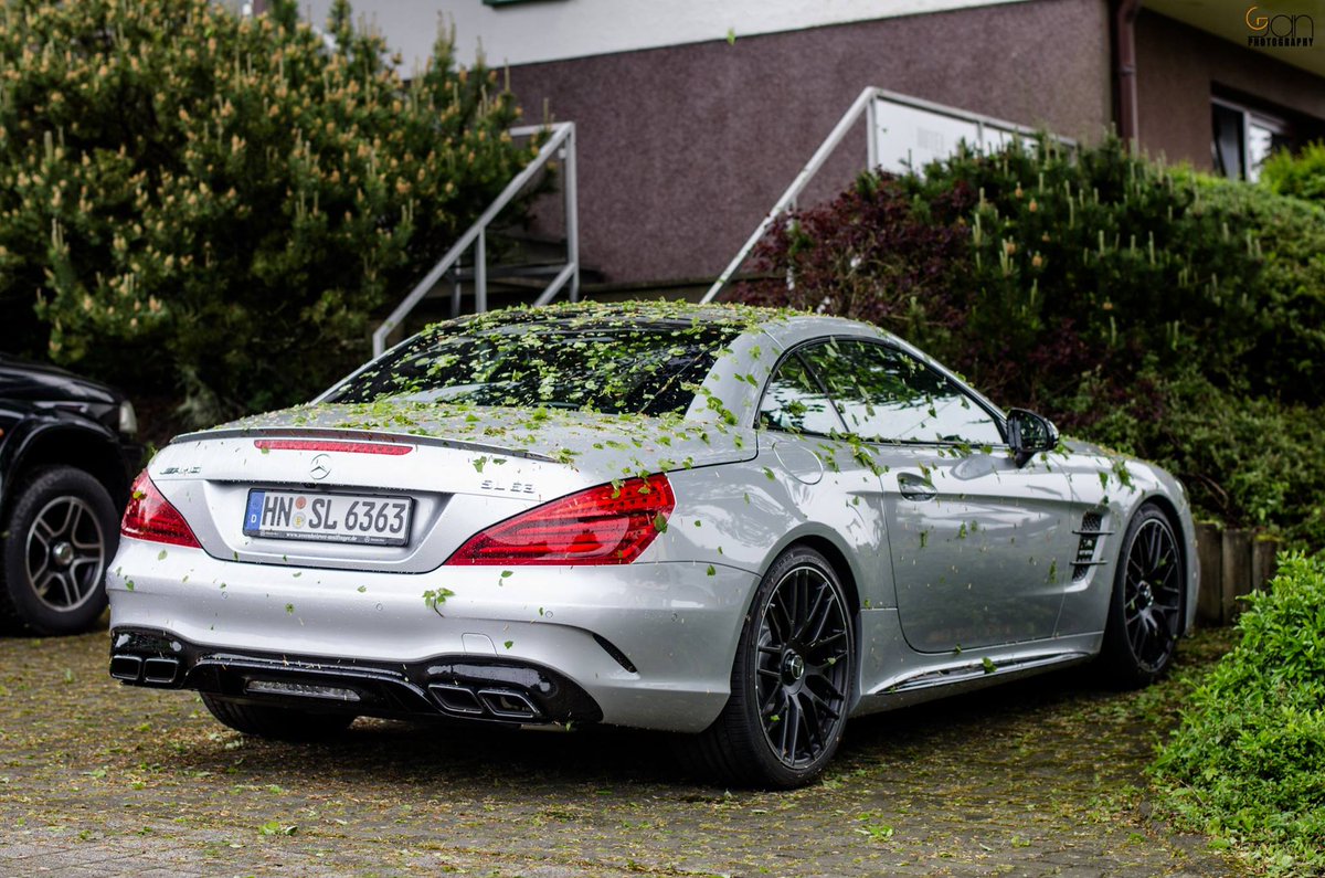 Earlsimxx's tweet photo. #FallChronicles https://t.co/4qhfrOIu56