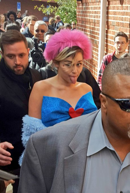 View image on Twitter