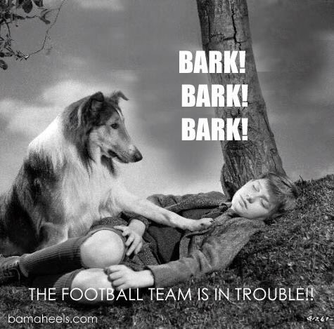 AlabamaHeels's tweet photo. Yes they are #RollTide #BAMAvsTAMU https://t.co/7OGw1lza8p