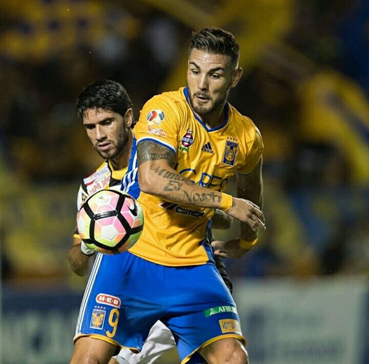 amorcitoloco10's tweet photo. Se confirma Gignac es baja para enfrentar a Pumas; Andy Delort irá de titular https://t.co/tcx5wmkx01