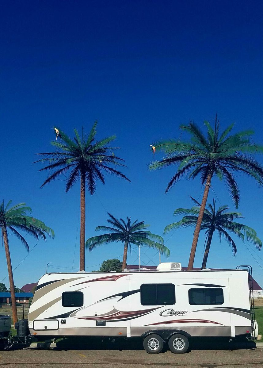 lovingidaho's tweet photo. Who would think there are #palm trees in #colbykansas #bish #RV headed from #Idaho to #Eastern Shore #Maryland @bishs #salisbury https://t.co/ofa9CfozSJ