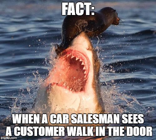 CreditlineKelle's tweet photo. Don't let this happen to you.  Call Creditlineone.ca and avoid the sharks.
#Sharks #SkipTheDealerships #CarLoan #Approval https://t.co/UwfuZcWutw