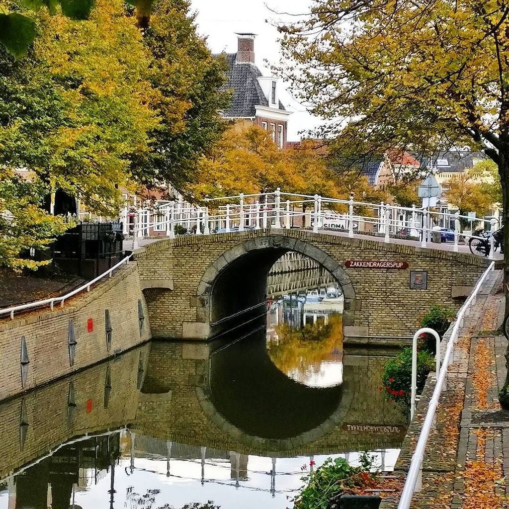 meshorizons's tweet image. Autumn bridge #OnePlusLife #oneplus3 #oneplustech #love #photooftheday #autumn #sun #seash… ift.tt/2erJSqf