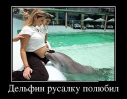 GRIGORII (@apcas666) on Twitter photo 